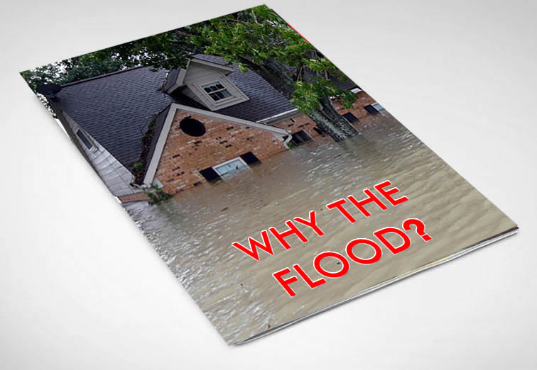 why the flood